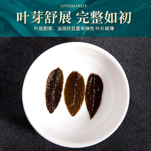 Qingqianliu Tee Nicht-wilde zarte Sprossenblatt-Tee-Niederschlagdruck niedriger Fett mit niedrigem Bluthochdruck kann für Burdock verwendet werden