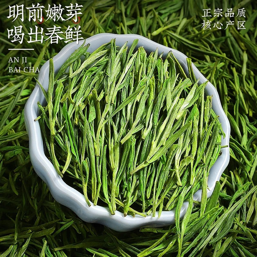 Chen Yifan rare white tea tea green tea Anji Baiye No. 1 tea tree fresh leaves and buds rare white tea 4 cans total 200g Chen Yifan rare white tea tea green tea Anji Baiye No. 1 tea tree fresh leaves and buds rare white tea 4 cans total 200g