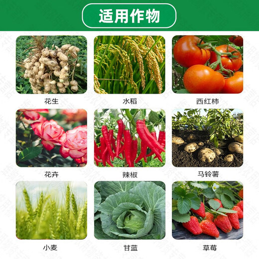 Hulian Plant Protection Hulian Manshou 24% Thifuramide Sheath Blight Grape White Rot Brown Spot Black Pox Bud Blight Fungicide 500g*1 bottle