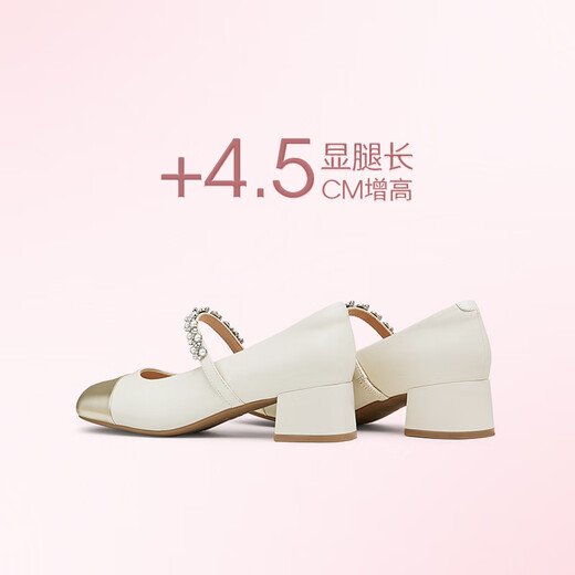 Tianmeiyi Shoes Women Shoes Mall mismo tacón grueso French Retro Single Shoes Mary Zhen Shoes Spring and Autumn Style BJ761CQ4 Silver 38