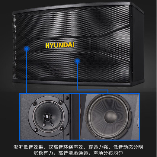HYUNDAI/modern 8-inch ktv audio set home living room computer TV karaoke equipment karaoke home theater Bluetooth amplifier conference room store classroom speaker