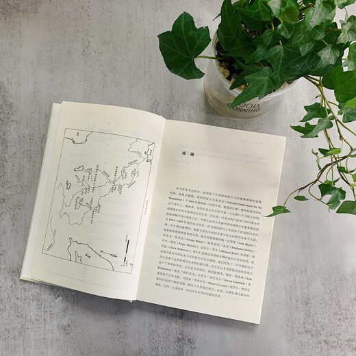 Ancient Mesopotamian Cities (20th Century Humanities Translation Series)