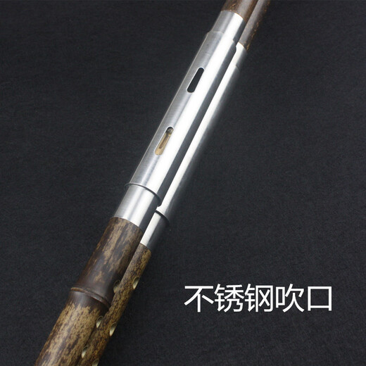 桑洛双管巴乌云南桑洛紫竹初学演奏宽音域横吹乐器 降B调F/