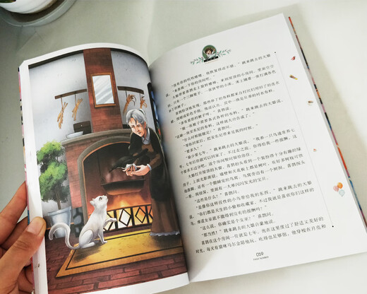 万花筒 国际大奖儿童文学读物小学生三四五六年级课外阅读书籍青少年儿童必读名著故事书