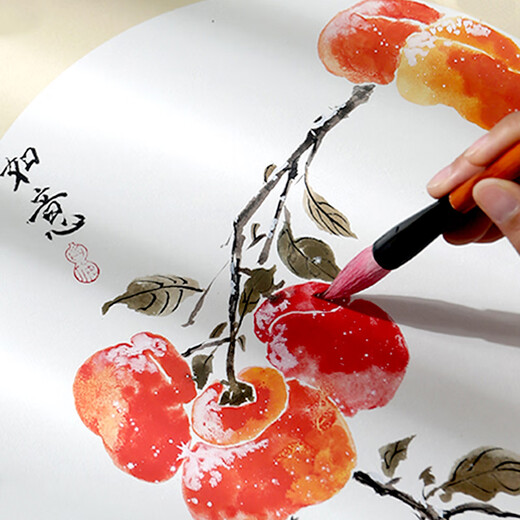 Meilin Bizhuang Chinese painting solid pigment beginner set Chinese painting ink painting mineral materials supplies tools students entry-level special brushes ancient color watercolor full set 24 colors