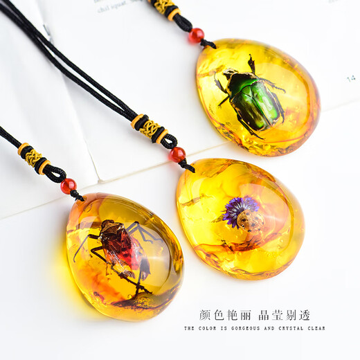 Everlasting Leaf Insect Specimens Amber Pendant Scorpion Butterfly Spider Real Insect Necklace Pendant Personalized Creative Pendant Gift 08# Copper Flower Golden Turtle