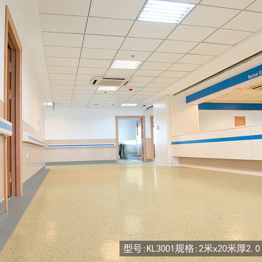 PVC Floor Plastik Kunststoff Gewerbe Ingenieurwesen Leder Krankenhaus Office School Roll Material Floor 20 Verdickte ZY5009spezifikationen2m x 20 m dick 2,0 mm eins