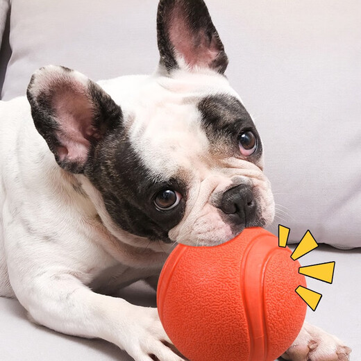 Pochido Dog Toy Ball Small Teeth Resistant Elastic Ball Teddy Self-Enjoyment Relief Solid Rubber Ball Pet Training