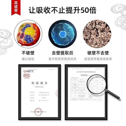 大晟破壁灵芝孢子粉2g*20包礼盒 病后术后体虚体倦补充免疫力礼盒礼品