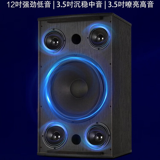 Malata audio set home KTV audio shop stage training room dance studio Bluetooth amplifier microphone speaker 10-inch five-unit audio + amplifier