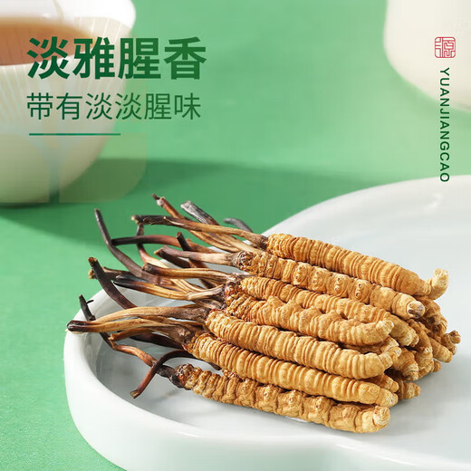 源江草冬虫夏草 新干虫草滋补品送父母长辈滋高端礼盒 3根/g 20克【滋补量装】