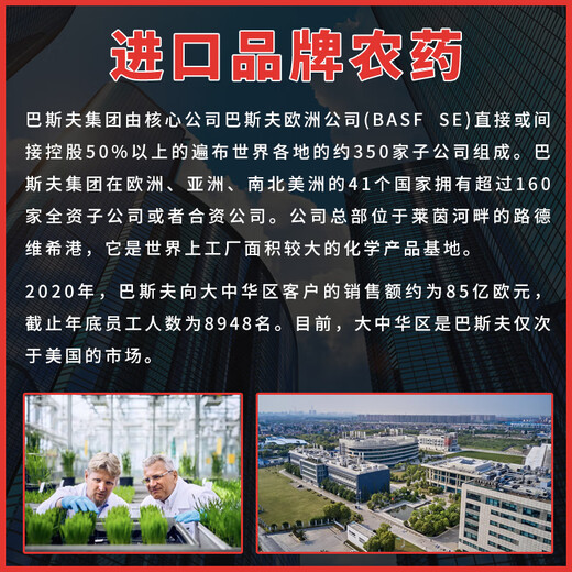 BASF 60% azoxystrobin, dipyraclostrobin, cucumber downy mildew, blight, anthrax pesticide and fungicide 100g/bag