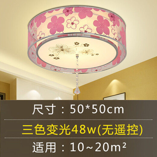 泰士隆卧室灯 led房间灯客厅灯浪漫温馨简约现代唯美婚房灯饰灯具吸顶灯 5024W 04三色50*