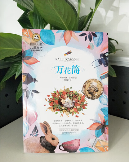 万花筒 国际大奖儿童文学读物小学生三四五六年级课外阅读书籍青少年儿童必读名著故事书
