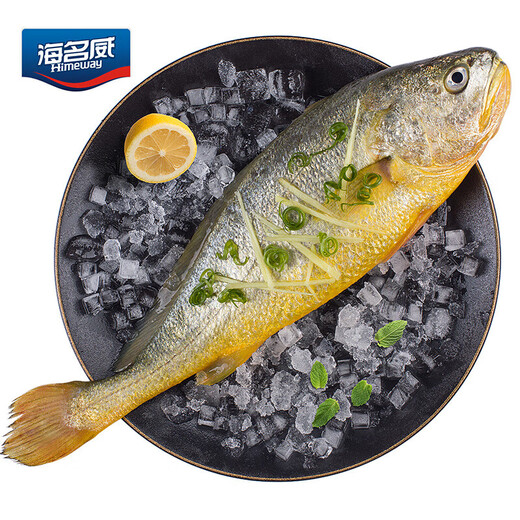 Haimingwei Frozen Ningde Yellow Croaker 600g/piece Large Yellow Croaker Deep Sea Fish Fresh Fish Seafood Mid-Autumn Festival Haimingwei Frozen Ningde Yellow Croaker 600g/piece Large Yellow Croaker Deep Sea Fish Fresh Fish Seafood Mid-Autumn Festival