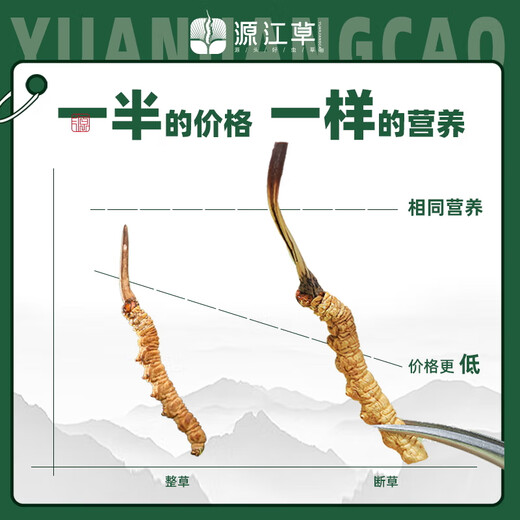 源江草冬虫夏草断虫草甄选断草 实惠装 老年人营养品自食用送礼 断草8克