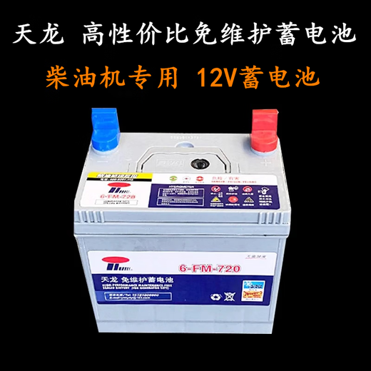 LEOCH天龙蓄电池6-FM-930/830/720/550/450/360发电机电瓶 启动电池 6-FM-930
