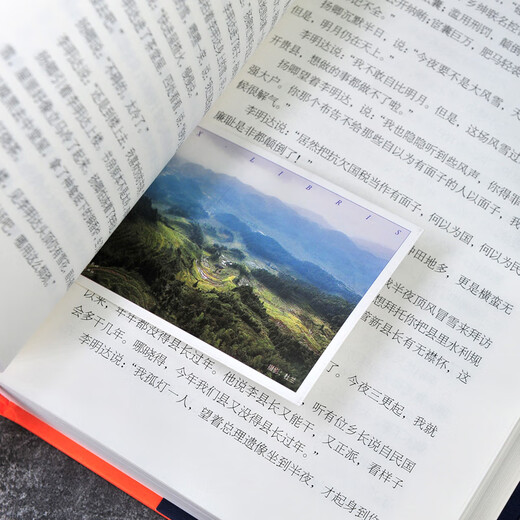 现货正版新书699页家山书王跃文著 作家王跃文Z新长篇小说力作 我 版社 家山