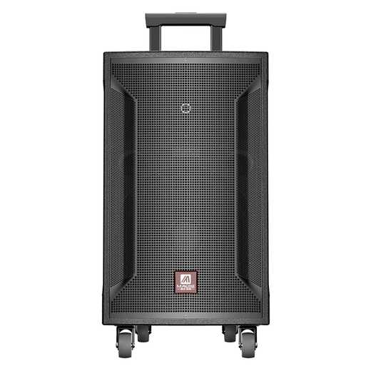 Manlong square dance audio high-power wireless microphone bluetooth musical instrument internet celebrity live broadcast mobile outdoor high-end karaoke machine singing trolley speaker W-15S audio dual microphone + gift package