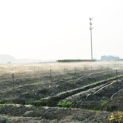 Zeego MD4100 automatic watering device for field orchard planting, rotating sprinkler system, agricultural farmland irrigation equipment, 30 heads for field 100 meters