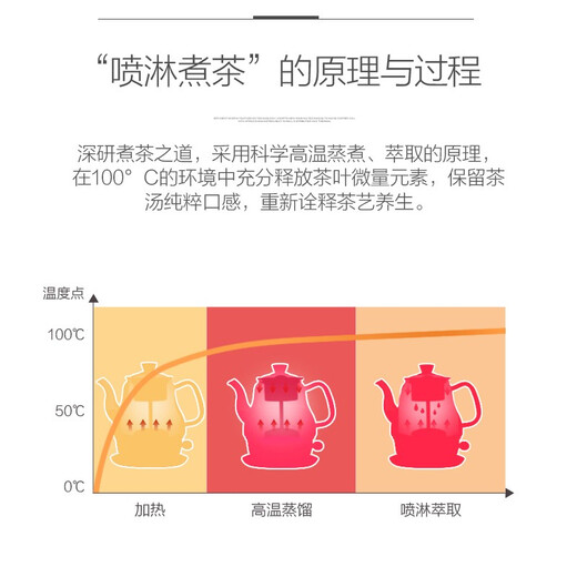 KAMJOVE black tea teapot, spray glass teapot, household small mini water boiling tea set, electric teapot A-33 0.8L