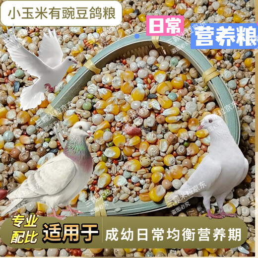 New pigeon food 20 Jin Jin is equal to 0.5 kg. Corn-free pigeon food has corn. Pigeon feed racing nutrition. Pigeon food for adult and young pigeons. 5 Jin Jin is equal to 0.5 kg. Pigeon food with corn and peas. 10 Jin Jin is equal to 0.5 kg.