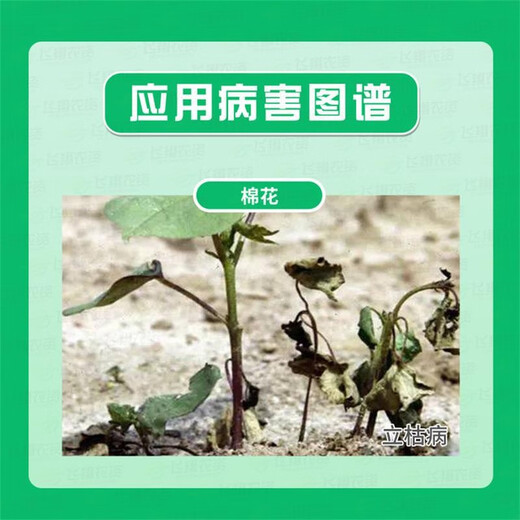 Lezhuangfeng 80% acetoallin fungus bacteria root rot blight bacterial wilt kill moss disease Youjun pesticide fungicide 500g