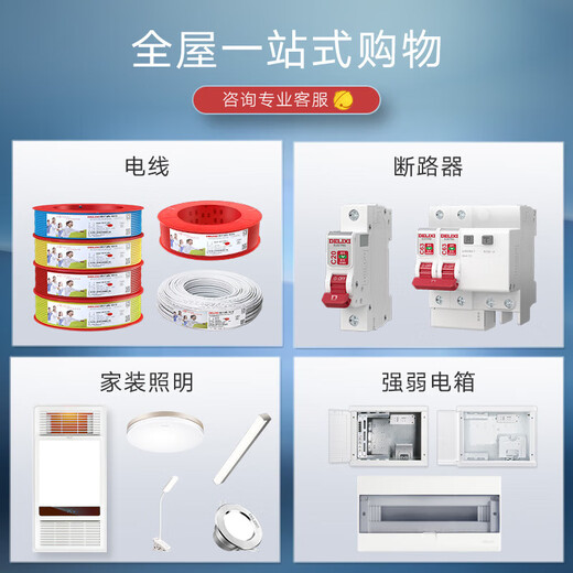 
(DELIXI) Socket panel concealed CD691 series 118 type two-position five-hole 10-hole socket panel champagne gold type 118 type fifteen-hole