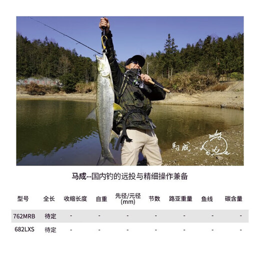 达亿瓦（DAIWA）ZILLION子龙竞技路亚竿远投碳素鱼杆鲈钓泛用鱼竿 川村682MLFS(2.03m中软调直柄)