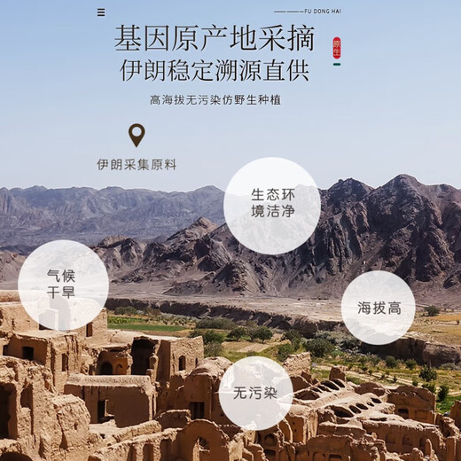 Fudonghai saffron gift box, female nourishing full-length red silk soaked in water, selected premium Iranian saffron for New Year gifts, Iranian A7 premium grade saffron 3g