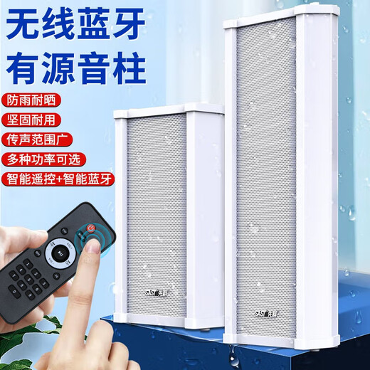 先科（SAST）40W主机户外蓝牙防水音柱室外壁挂式音响功放挂墙喇叭套装音箱学校操场公园会议公共广播店铺音乐