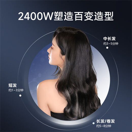 Fire Phoenix Hair Dryer Home Negative Ion High Power 2200W Hair Salon Special High Wind Quick Drying Barber Shop High Speed Constant Temperature Hair Care Does Not Damage Hair Low Noise Hair Dryer 8960H Blue Parrot 8960