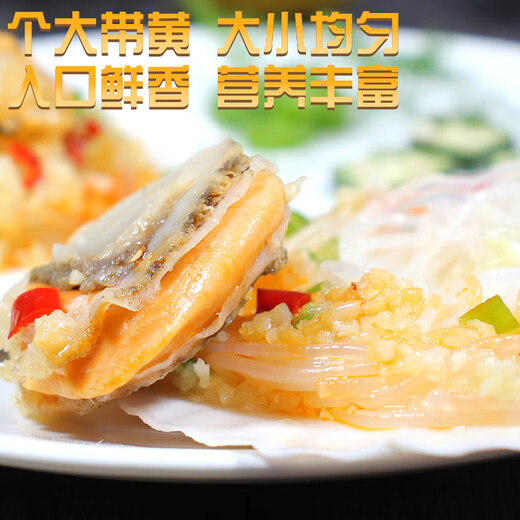 Fuhaijin Garlic vermicelli scallops net weight 1.6Jin Jin equals 0.5kg 12 large scallops seafood hot pot barbecue ingredients fresh