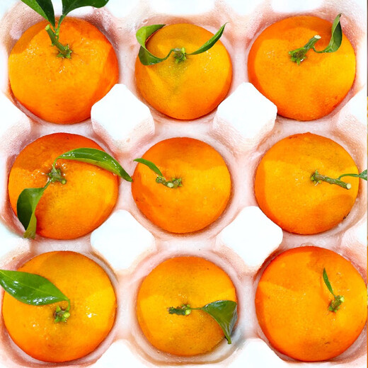 Auténtica Ehime No. 38 Jelly Orange Naranja fresca Fruta de temporada al por mayor Caja completa Caja de regalo de naranja para embarazo de temporada Fruta mediana grande 60-65 mm Fresca y jugosa 9Jin Jin equivale a 0,5 kg (JD Express)