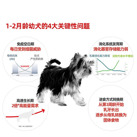 Royal Canin puppy dog ​​food MIS30 milk cake, small dog food during weaning period and pregnancy, early adopter pack | 1kg