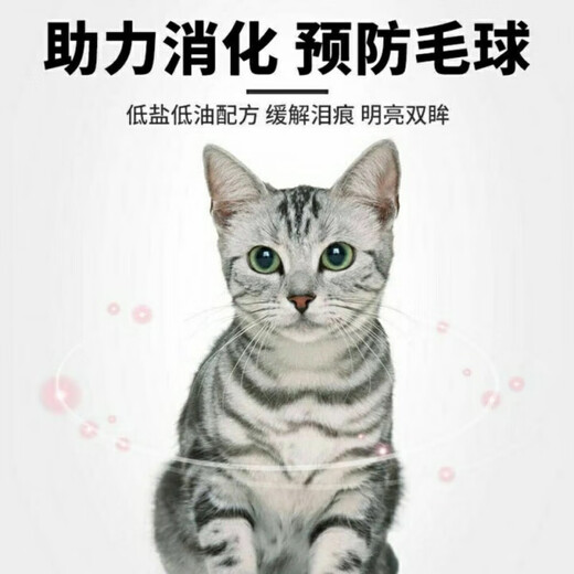 Prominent Cat Food 10kg Marine Fish Flavor General Cat Food Beef Flavor 20Jin Jin equals 0.5kg Fish Flavor 20 1 bag 10kg Beef Flavor