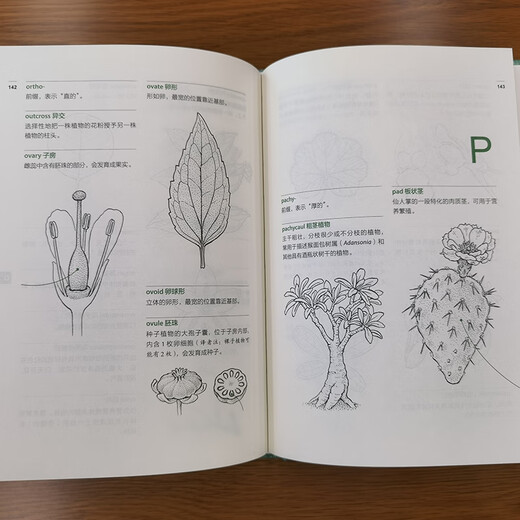 植物学家的词汇手册 图解1300条园艺常用植物学术语