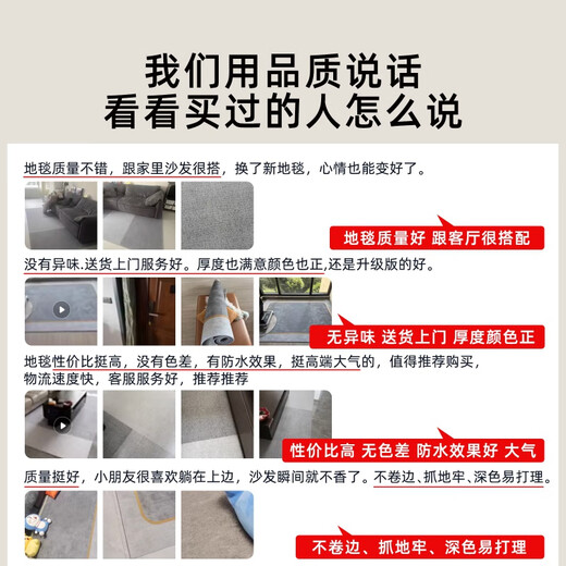 南极人（Nanjiren）地毯客厅2024新款家用轻奢感沙发茶几垫房间室内免洗可擦地毯 15695 300*400cm 加厚款 整块定制不退