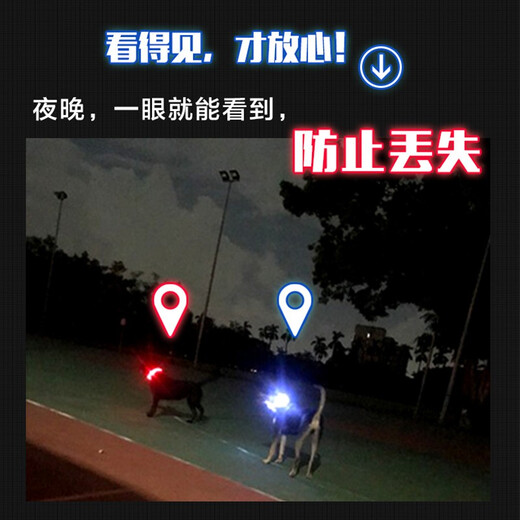 Chukchi (CHUKCHI) dog luminous collar USB charging pet luminous circle leash dog leash anti-lost dog walking collar golden retriever waterproof supreme version orange collar M-recommended neck circumference within 36-49CM