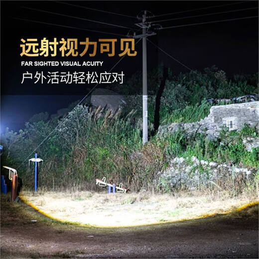 【领取中】LED头灯超亮头戴式强光头灯手电筒户外家用远射充电 顶级款【9999K】爆亮高续航