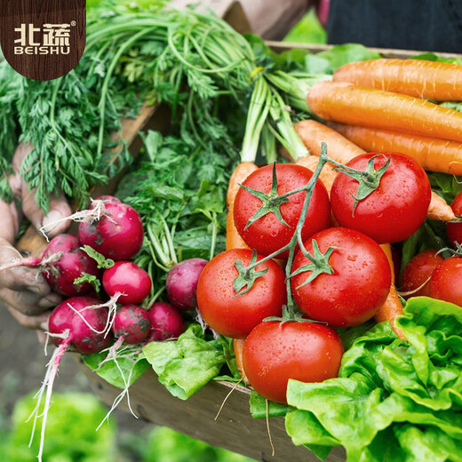 Beishu vegetable seeds and seedlings collection, lettuce, coriander, spinach, spring balcony rapeseed, 6 types of leafy vegetable seeds