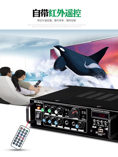 Sony Euro SA-1600 home KTV amplifier high-power audio Bluetooth AV amplifier professional hot-grade hifi conference new mini 2.0 fixed-impedance public amplifier combined power 200W (KTV mid-pack sound effect)