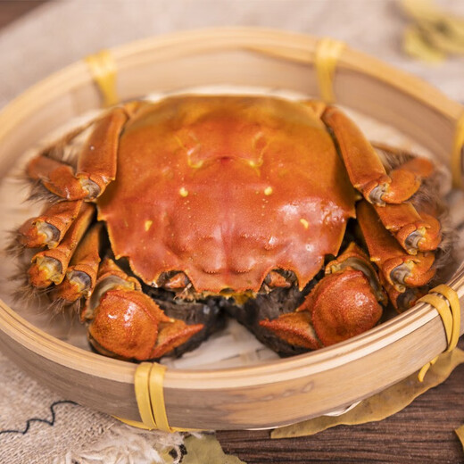 Live crab Yangcheng Xiaoyao hairy crab fresh crab gift box ready-made river and lake seafood male 4.2-4.5 female 3.2-3.5 two 4 pairs 8 pieces