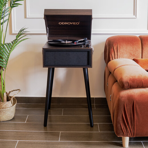 Otieno European-style simple multi-functional vinyl record player radio gift Bluetooth audio retro model room record player home floor-standing phonograph free record with order, walnut color (free Tsai Chin + music USB disk with order)