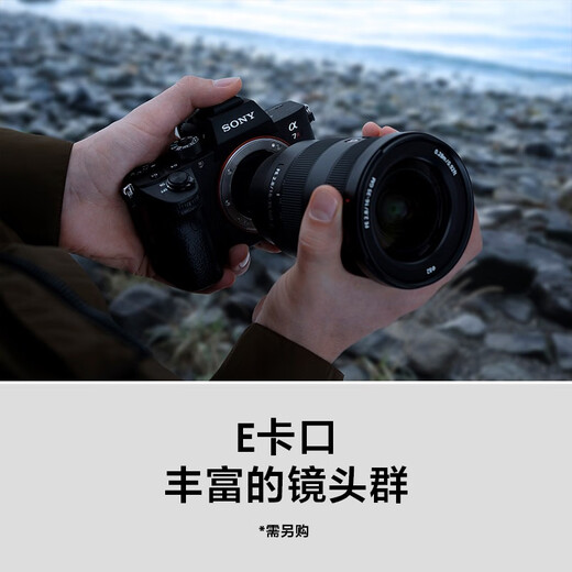 Sony (Sony) ILCE-7RM3A Full-Frame Micro-Single Digitalkamera etwa 42,4 Millionen effektive Pixel 5-Achsen-Anti-Shake A7R3A Tamron 28-200 (große Blende und ein Spiegel, um um die Welt zu reisen) Paket 2