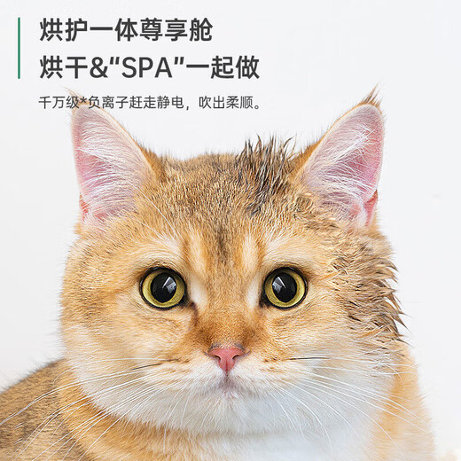 Lechi Caja de secado inteligente para mascotas a temperatura constante Secador para mascotas Caja de secado para gatos Soplador de pelo completamente automático Secador para perros White Pro (62L+Sincronización+Ajuste de temperatura libre)