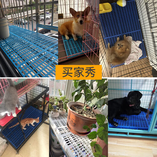 Padres de jaula de perros plástecas plásticas plástecas plásticas para mascotas gato jaula plantilla fugas piso anti-salpicaduras 12595 jaula con 4 piezas 90*30*3