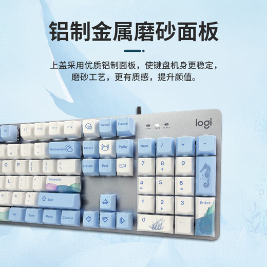 罗技（Logitech）K845机械键盘 游戏键盘 办公键盘有线全尺寸办公家用背光电竞吃鸡键盘 K845-茶轴-鲸落
