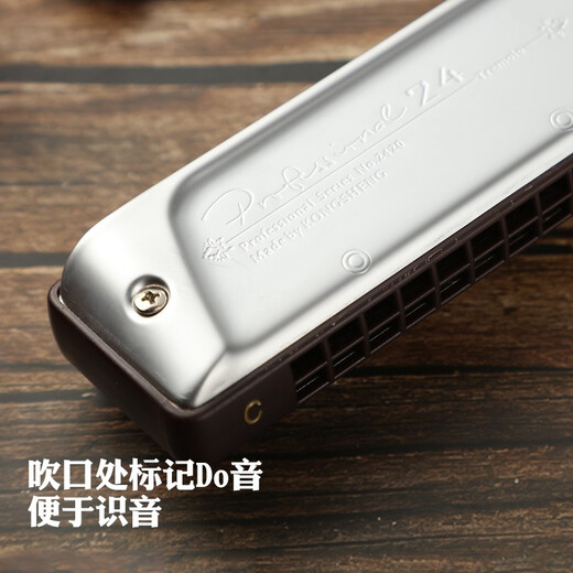 德国进口音簧24孔口琴专业演奏级成人高级孔声重音复音CAFG调 C调【常用调】