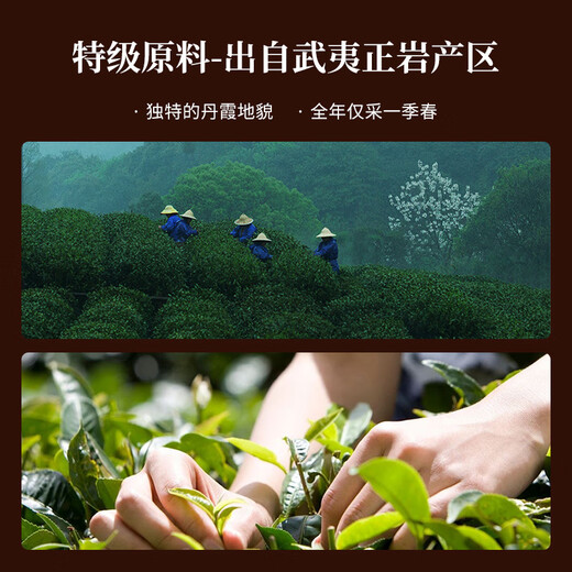 华祥苑乌龙茶国缤茶 武夷正岩大红袍特级125g中火茶叶礼盒